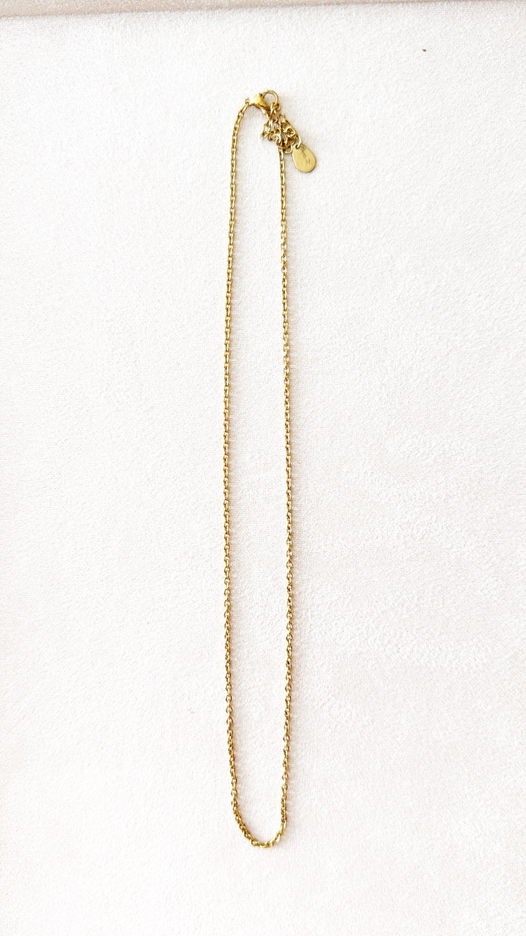 Base catenina classica