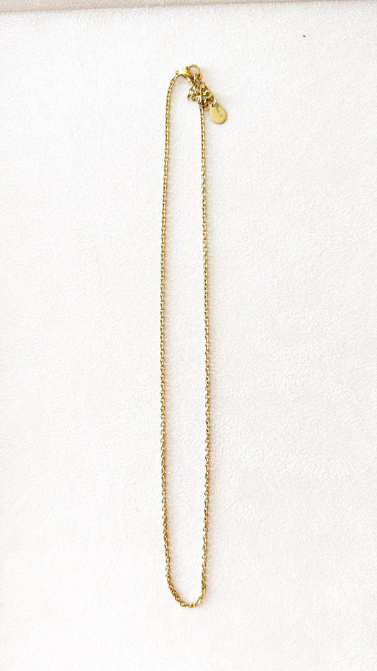 Base catenina classica